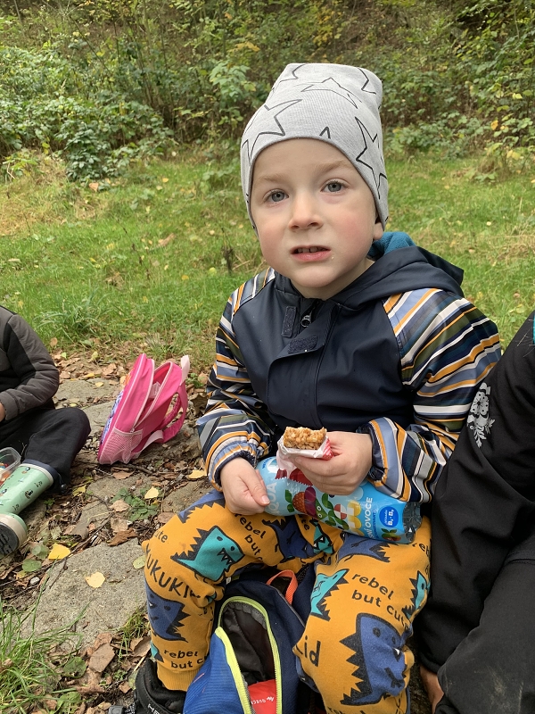 Kočičky na půldenní vycházce