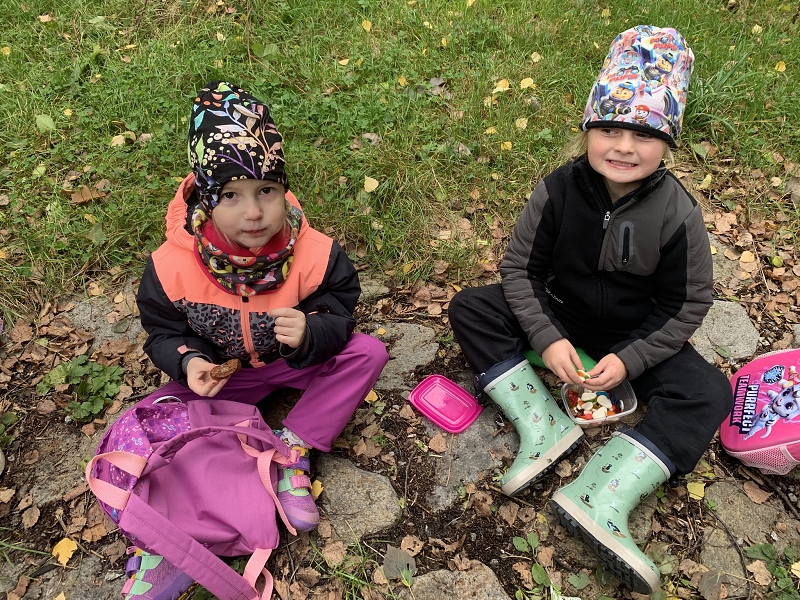 Kočičky na půldenní vycházce