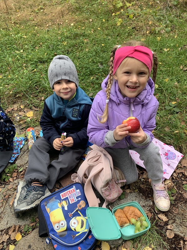 Kočičky na půldenní vycházce