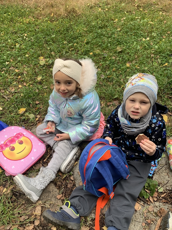 Kočičky na půldenní vycházce