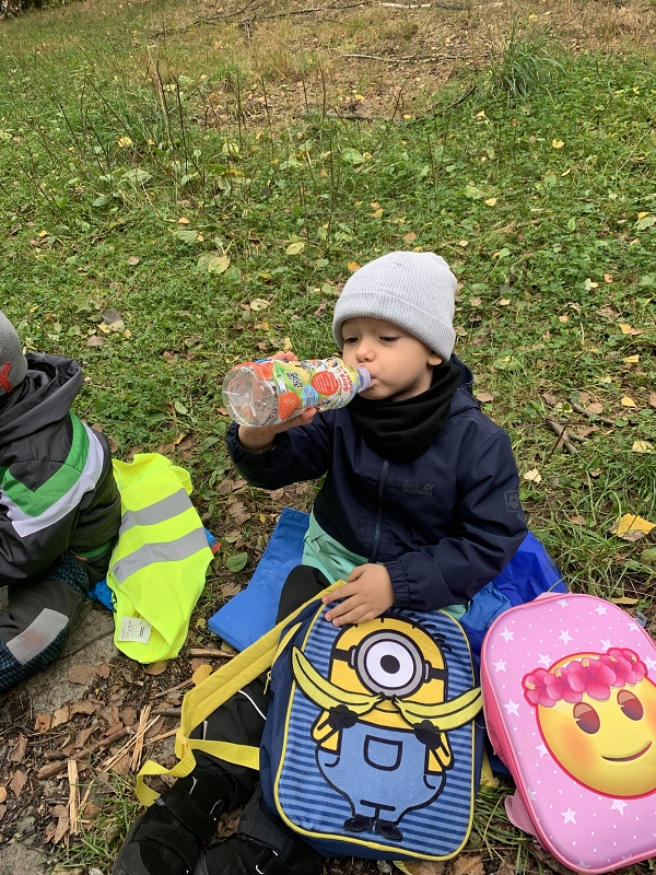 Kočičky na půldenní vycházce