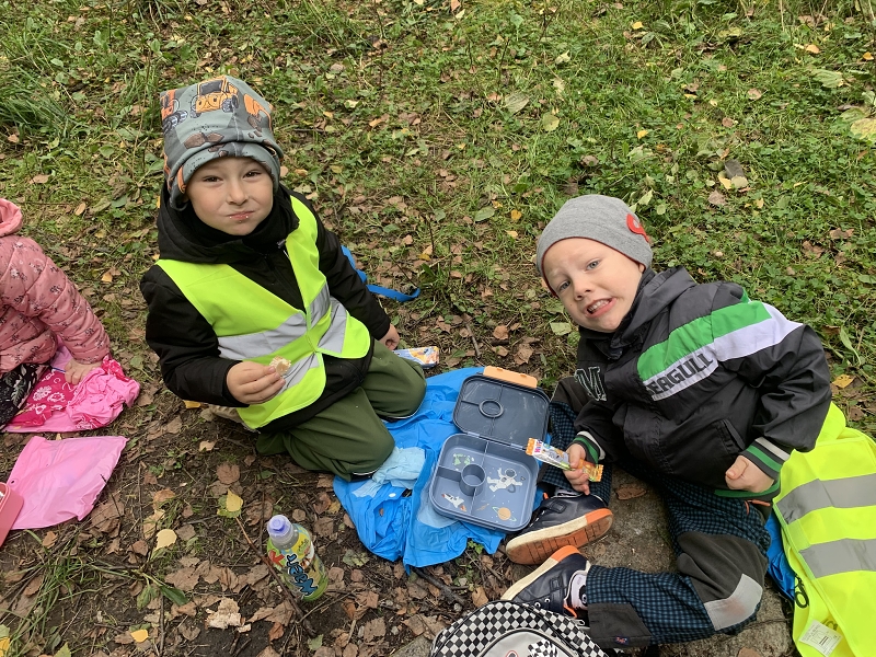 Kočičky na půldenní vycházce