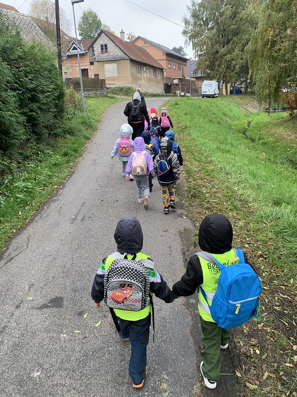 Kočičky na půldenní vycházce