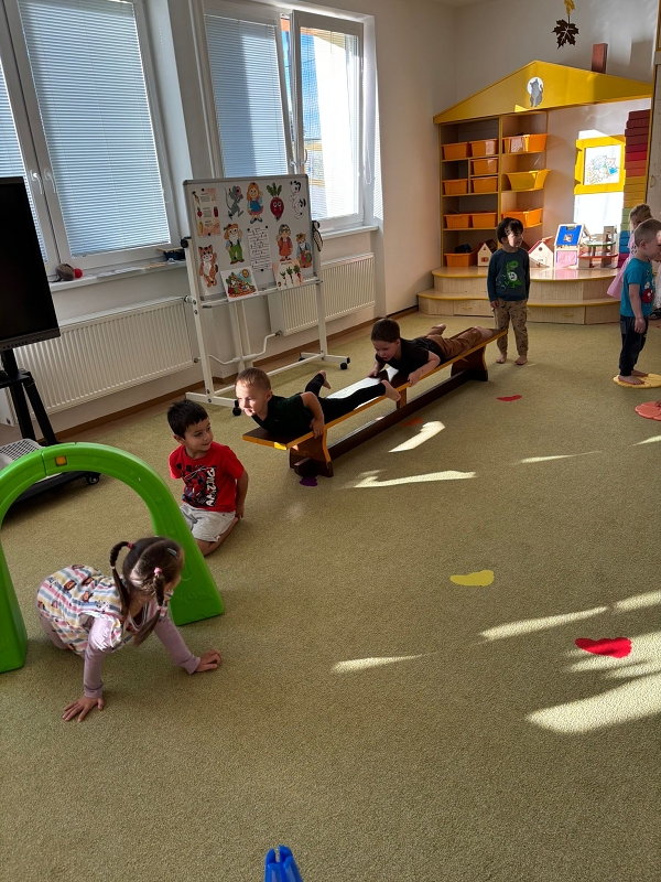 Kočičky tahají řepu