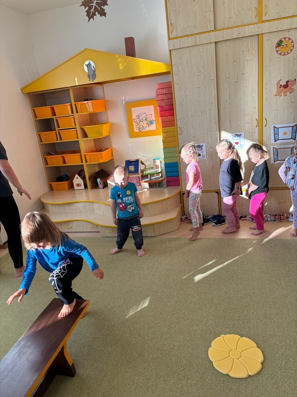 Kočičky tahají řepu