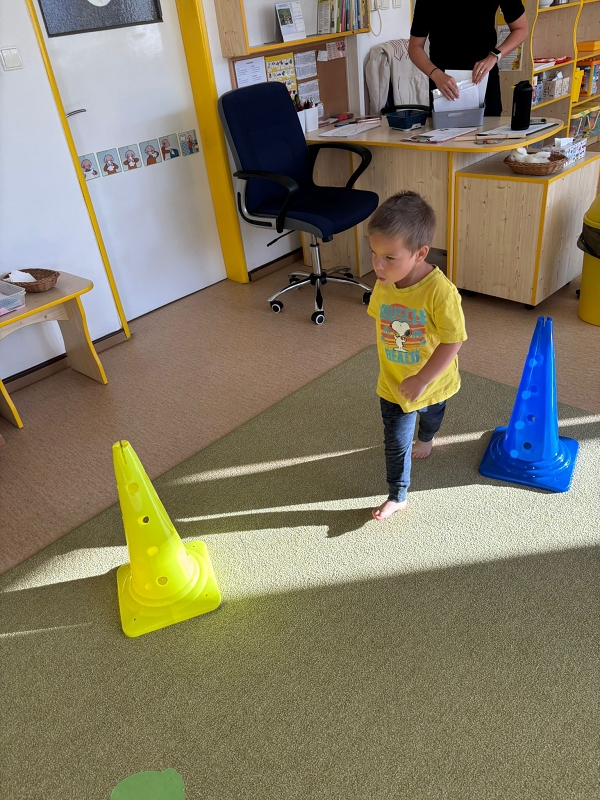 Kočičky tahají řepu