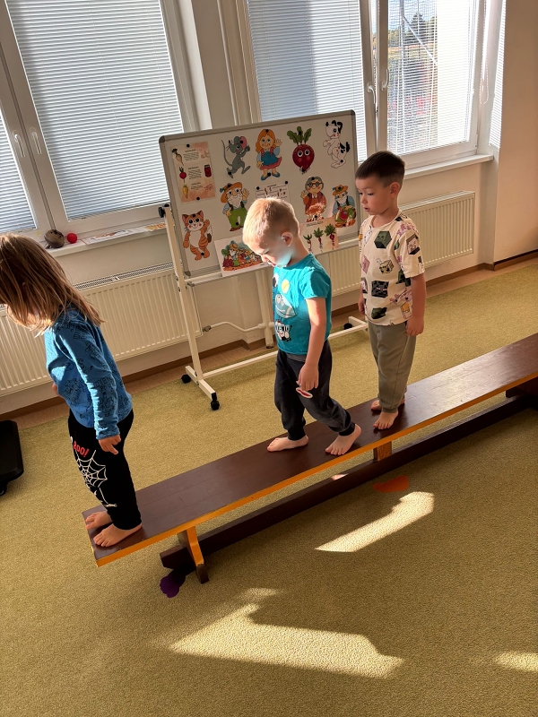 Kočičky tahají řepu