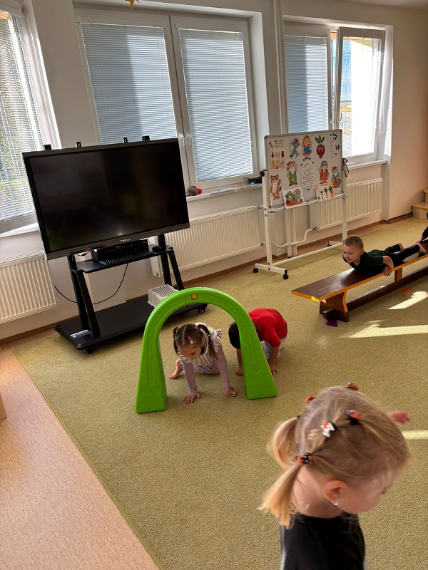 Kočičky tahají řepu