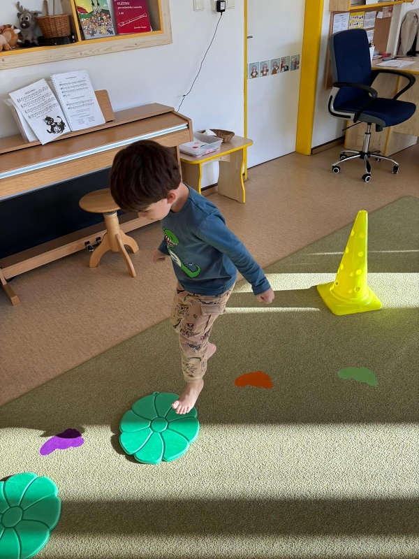 Kočičky tahají řepu