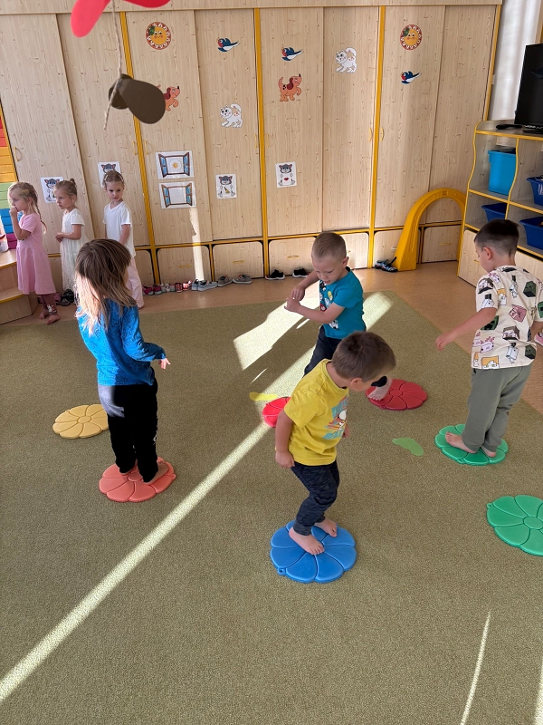 Kočičky tahají řepu