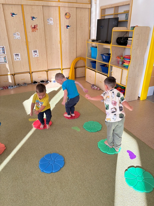 Kočičky tahají řepu