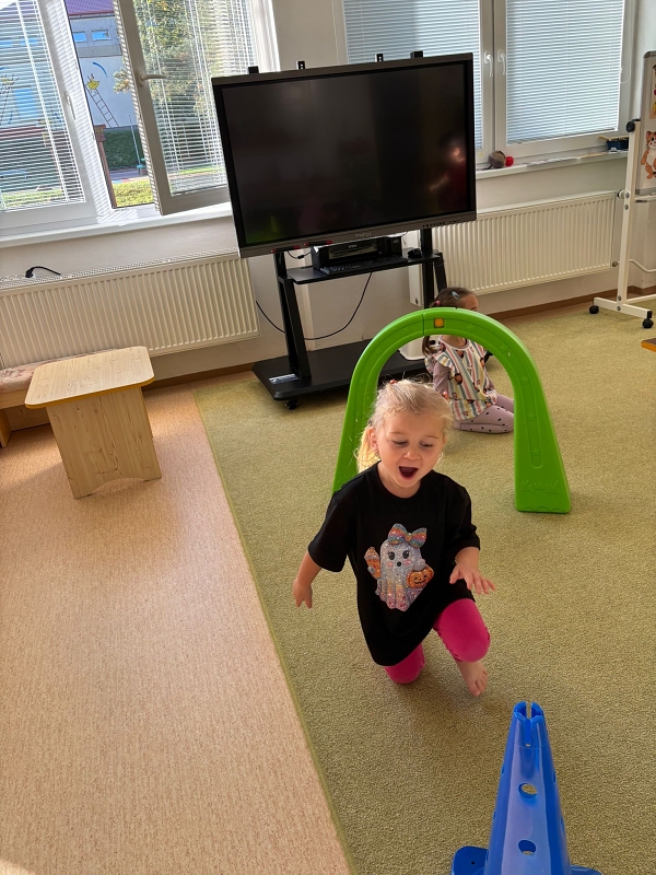 Kočičky tahají řepu