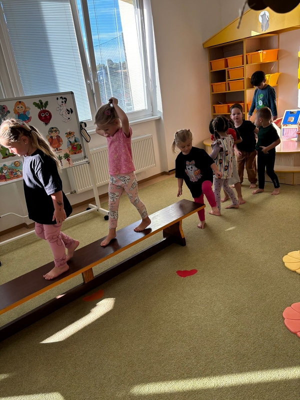 Kočičky tahají řepu