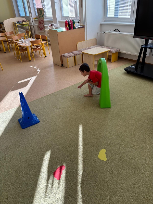 Kočičky tahají řepu