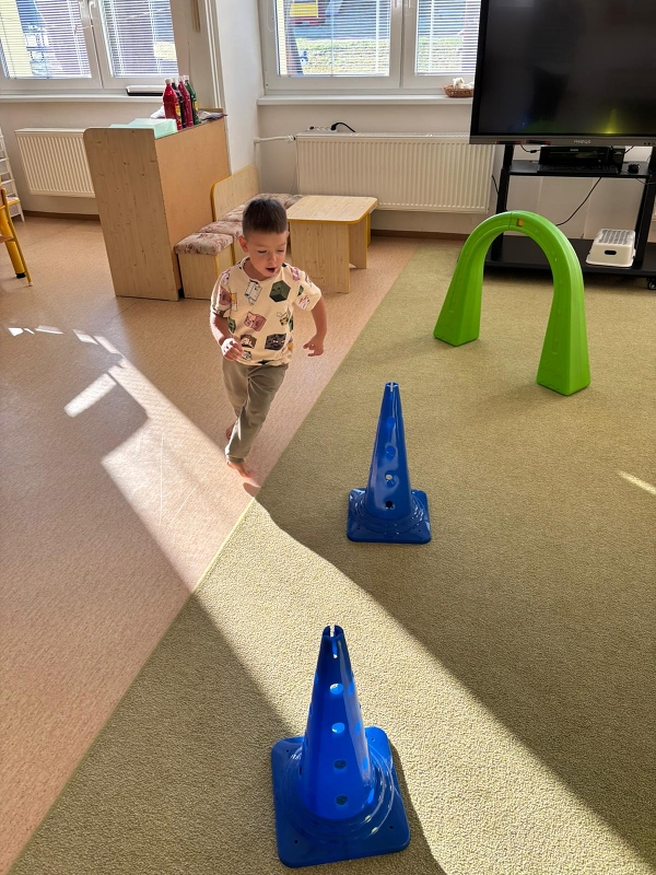 Kočičky tahají řepu