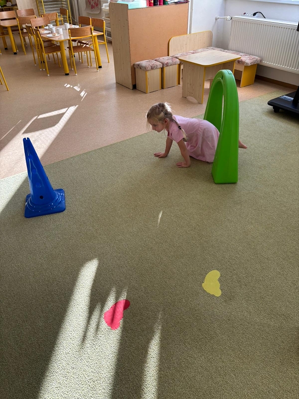 Kočičky tahají řepu