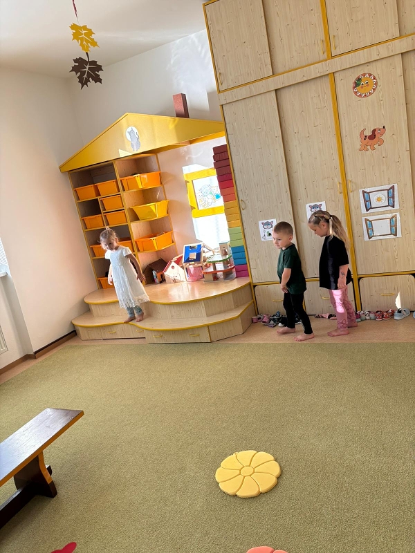 Kočičky tahají řepu