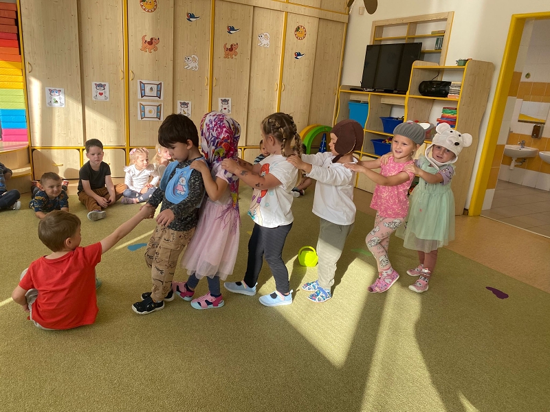 Kočičky tahají řepu