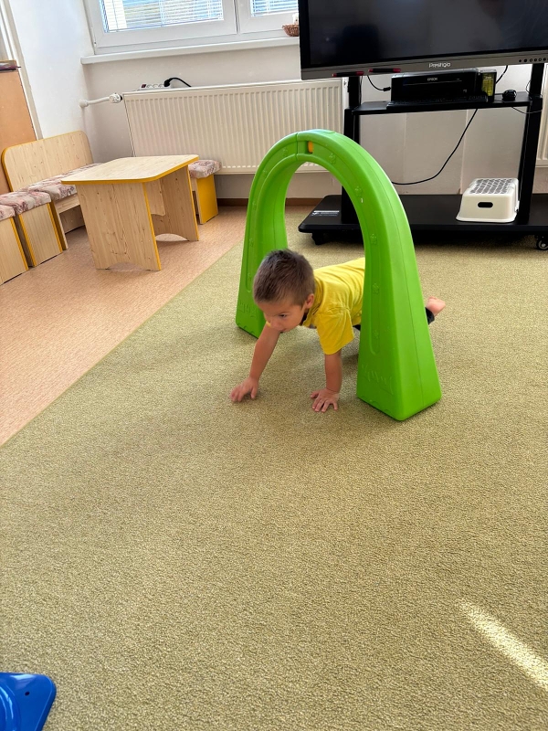 Kočičky tahají řepu