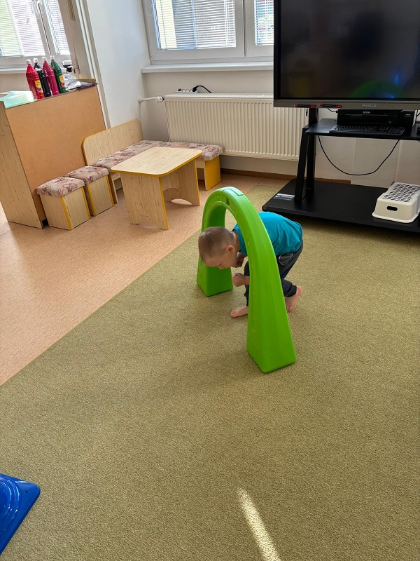 Kočičky tahají řepu