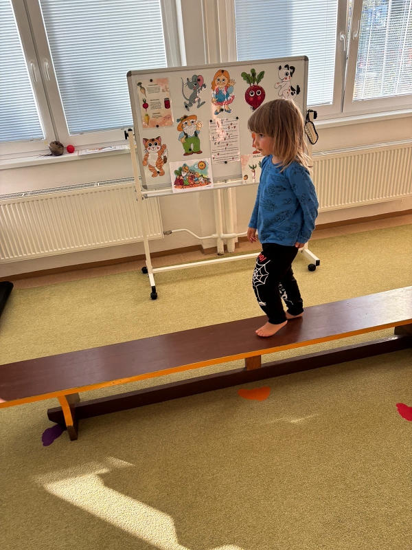 Kočičky tahají řepu