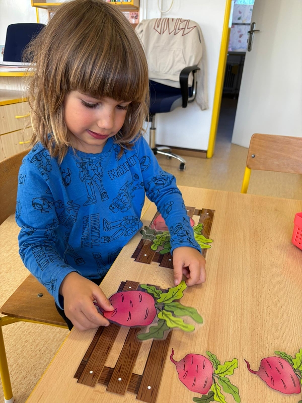 Kočičky tahají řepu