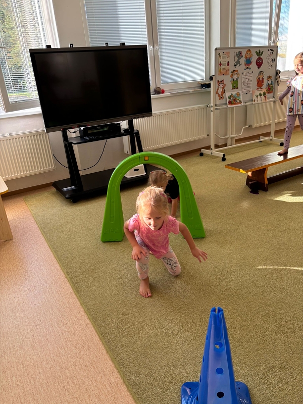 Kočičky tahají řepu