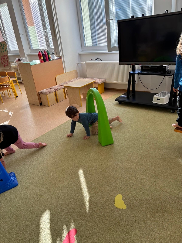 Kočičky tahají řepu