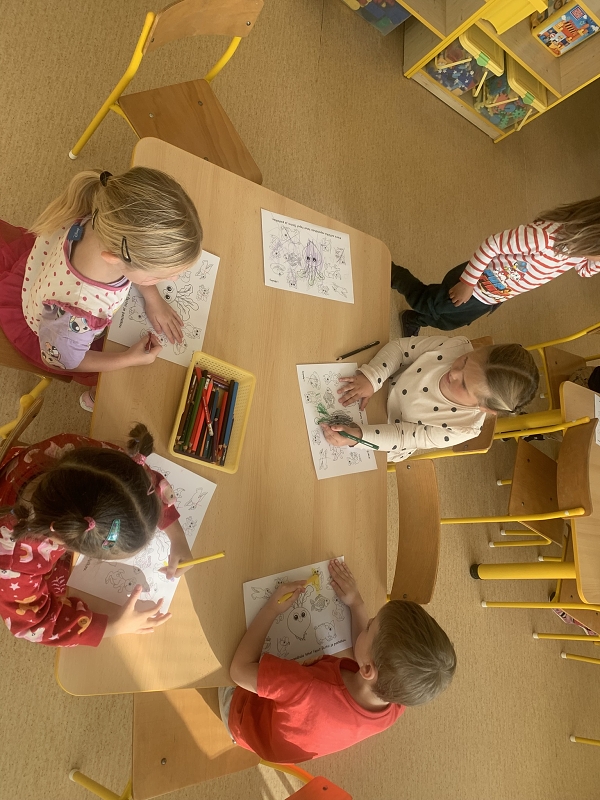 Kočičky tahají řepu