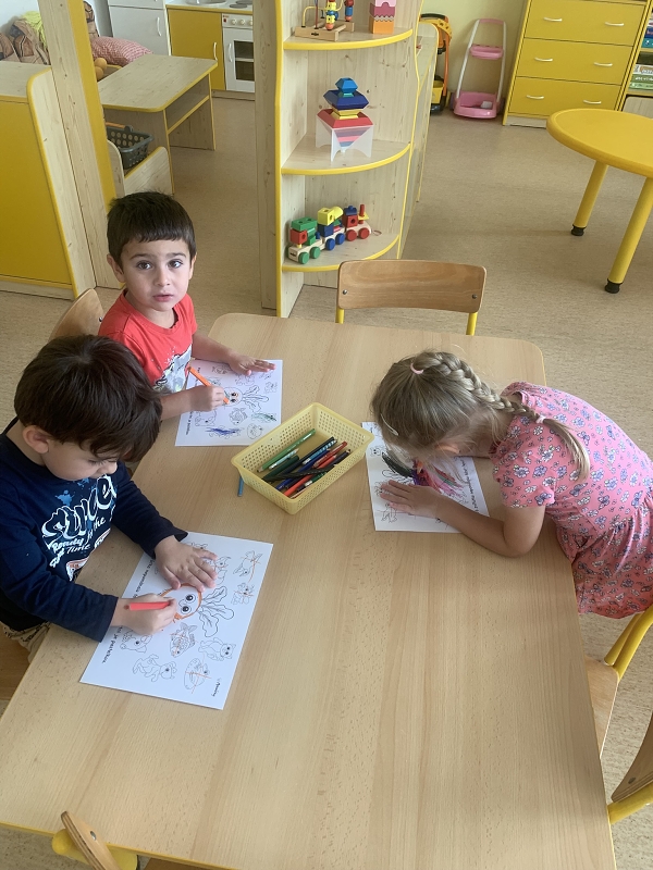 Kočičky tahají řepu