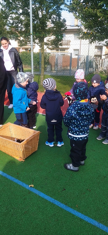 O pohár starosty města - Broučci