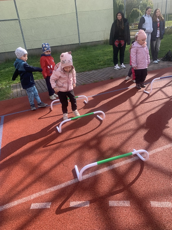 O pohár starosty města - Kočičky