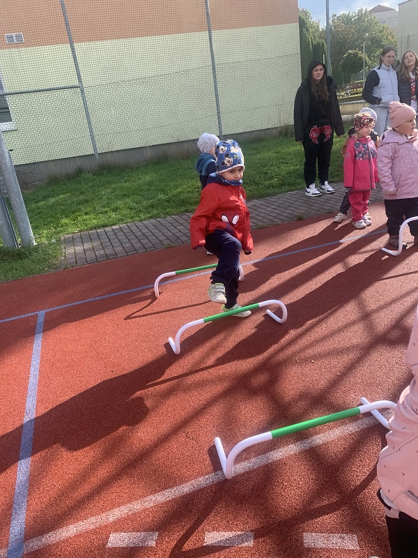 O pohár starosty města - Kočičky