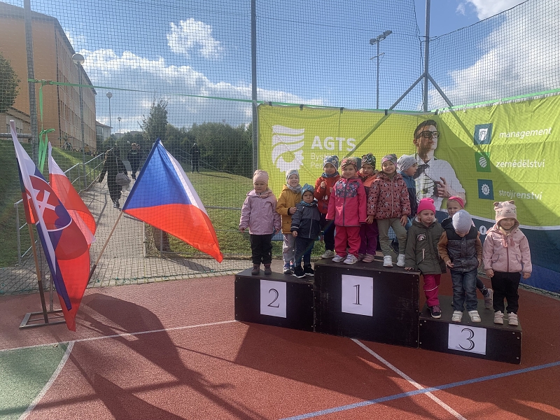 O pohár starosty města - Kočičky