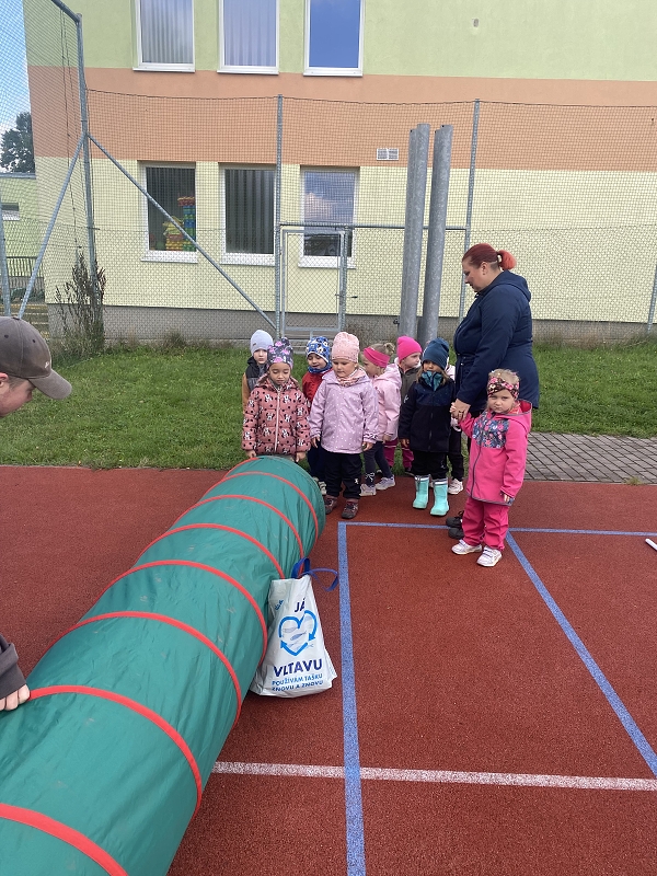 O pohár starosty města - Kočičky