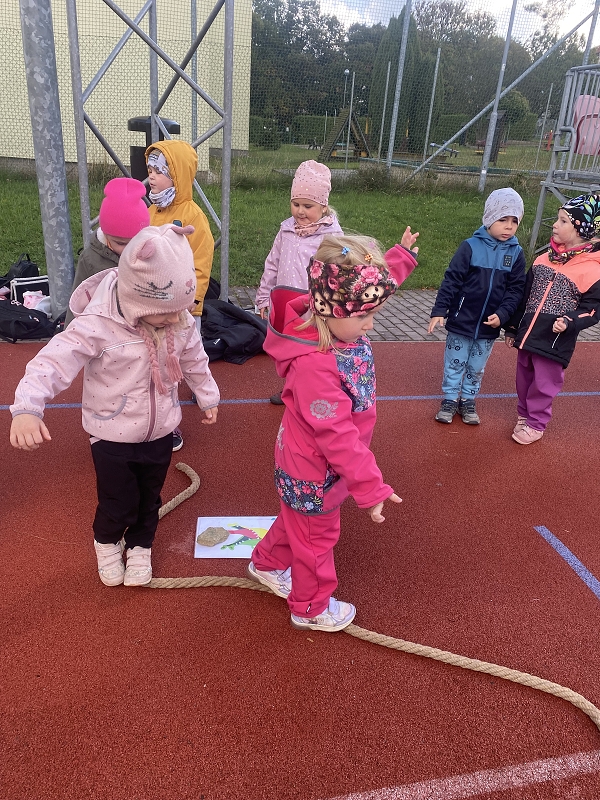 O pohár starosty města - Kočičky