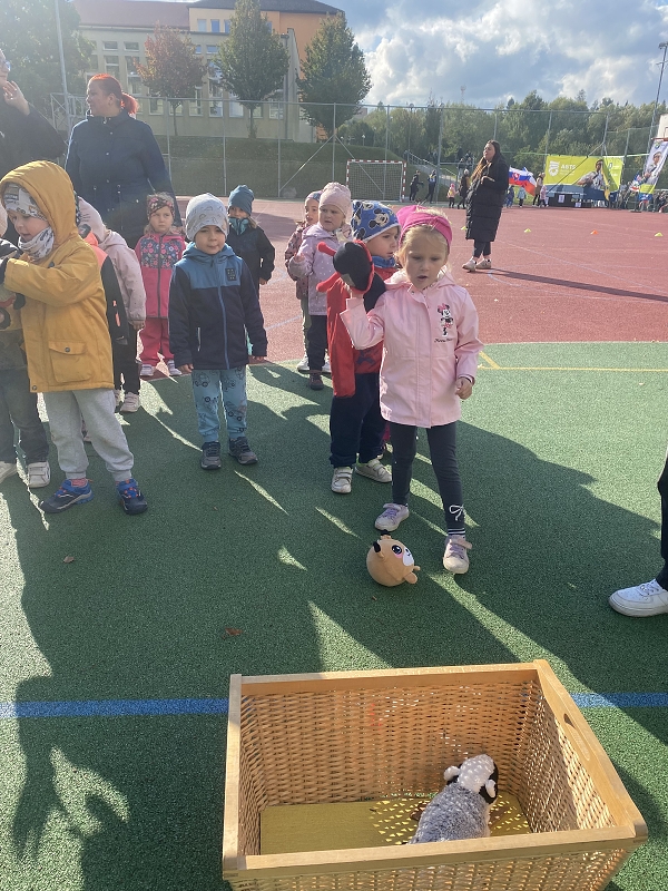 O pohár starosty města - Kočičky