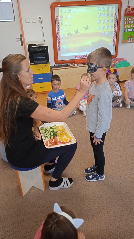 Ochutnávka zeleniny