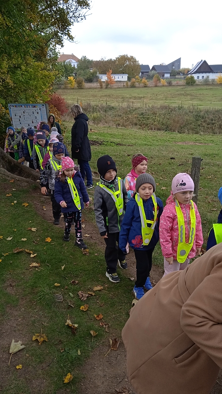 Opičky v pohádkové aleji