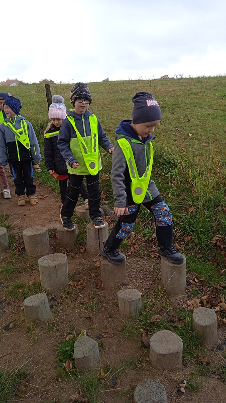 Opičky v pohádkové aleji