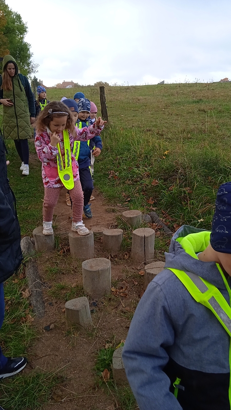 Opičky v pohádkové aleji