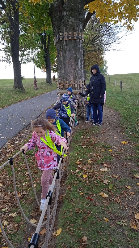 Opičky v pohádkové aleji