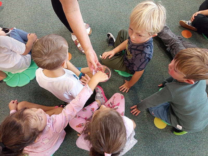 Ovoce a zelenina ve Veverkách