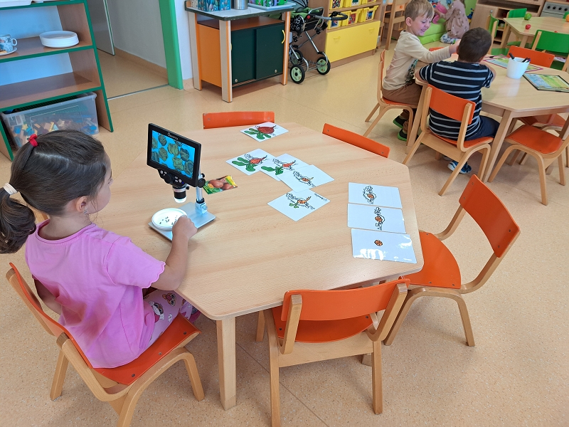 Pohádka O veliké řepě - Veverky