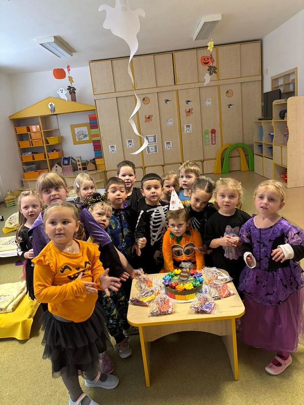 Kočičky slaví narozeniny