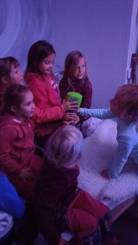 Návštěva v domově Kamélie