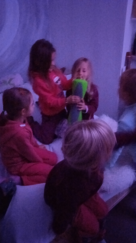 Návštěva v domově Kamélie