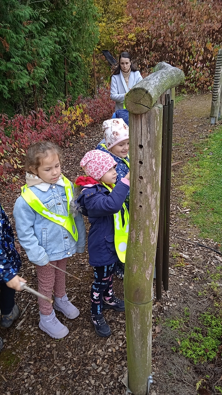 Návštěva v domově Kamélie