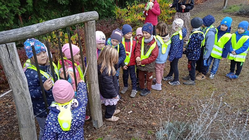 Návštěva v domově Kamélie