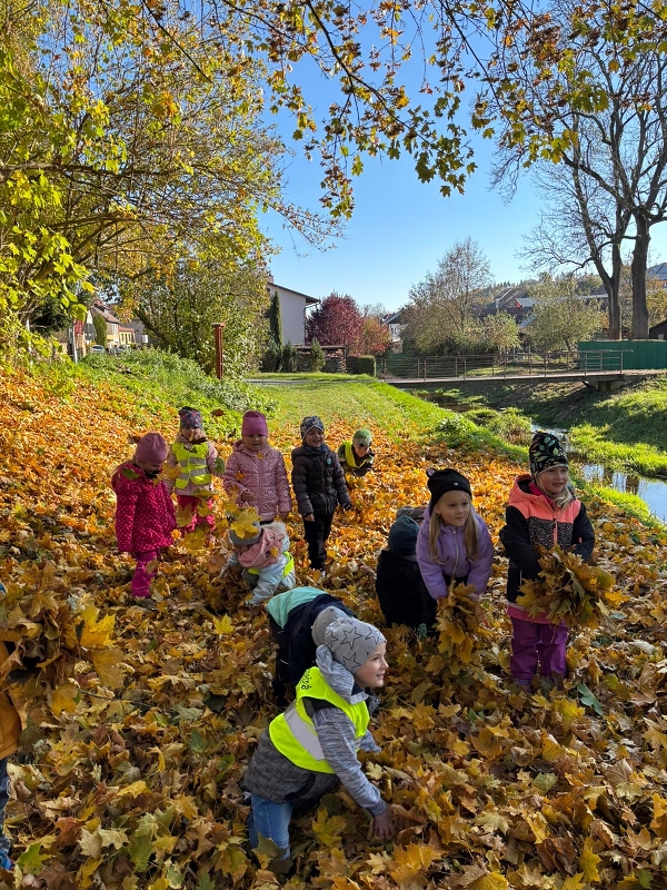 Poslední říjnové dny - Kočičky